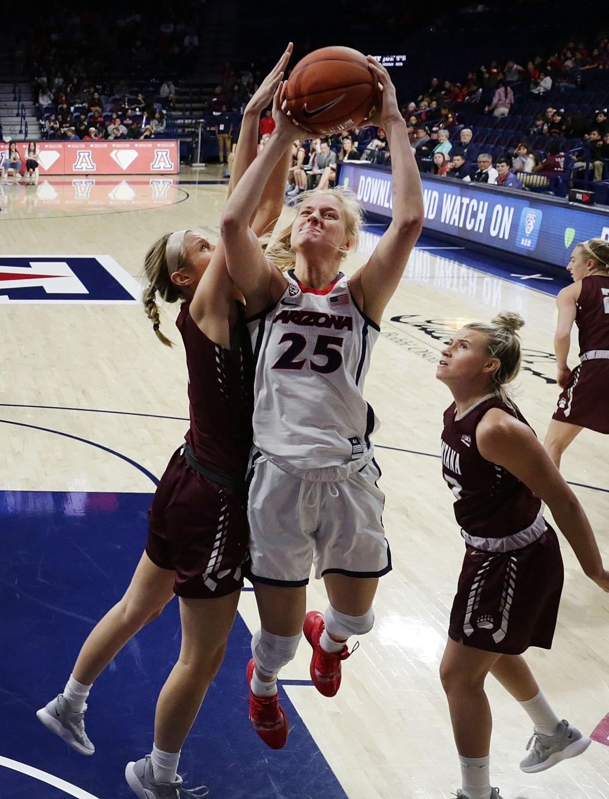 Arizona Wildcats 100, Montana Grizzlies 51